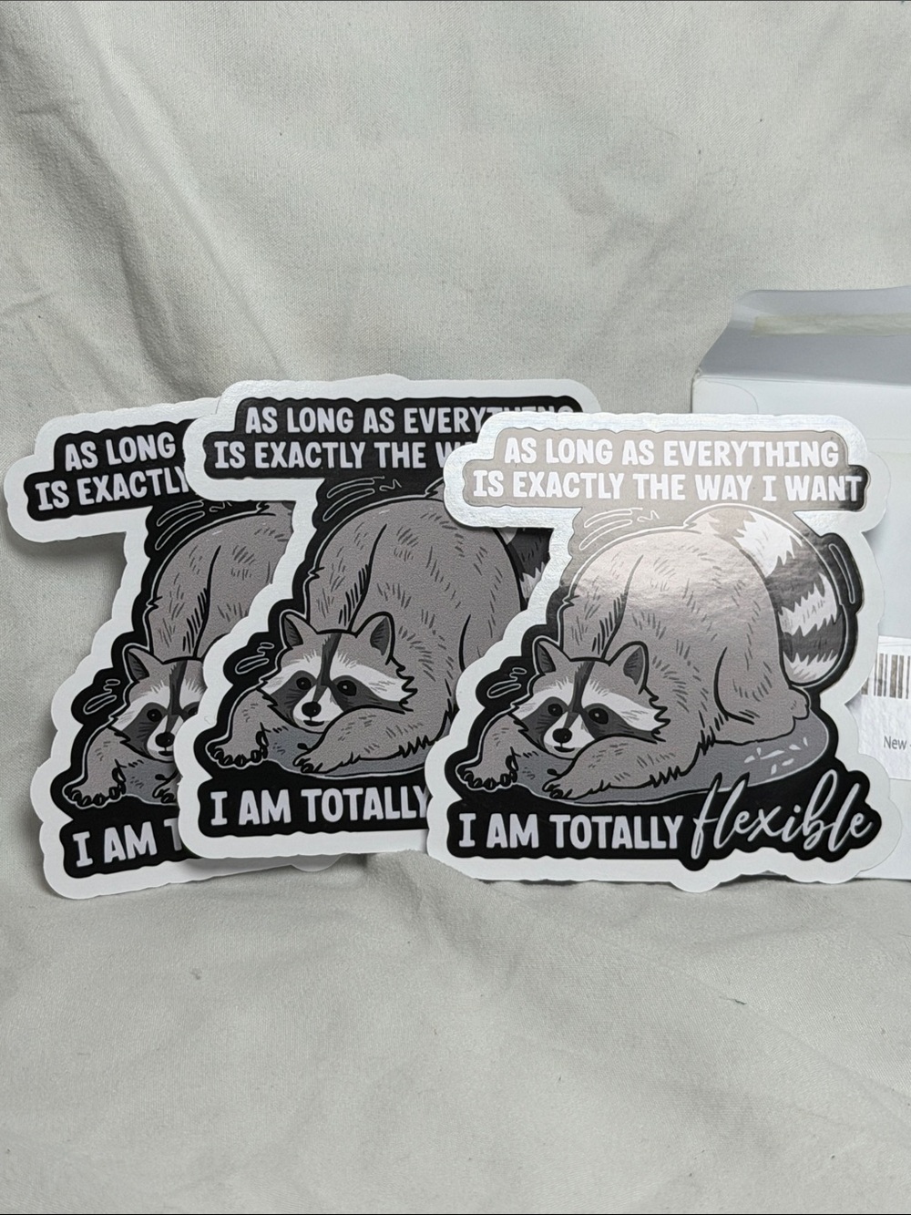 Funny Raccoon Sticker Pack - 3”